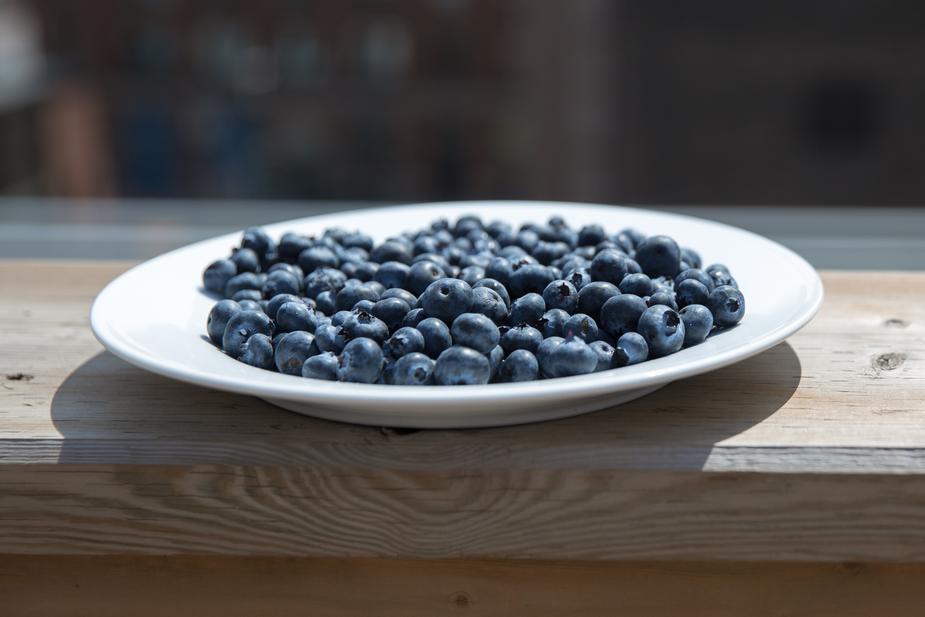 Best Blueberry Vape Juice For Both PG and VG Blends Freeman Vape Best Blueberry Vape Juice For Both PG and VG Blends Freeman Vape